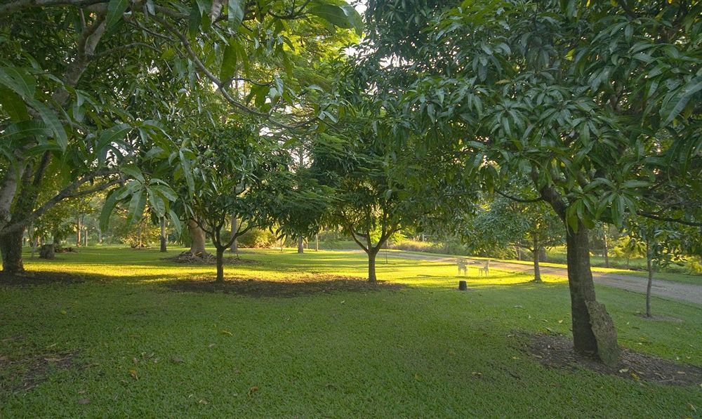 Lagoon Pocket Bed & Breakfast Esterno foto