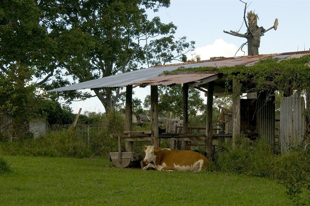 Lagoon Pocket Bed & Breakfast Esterno foto