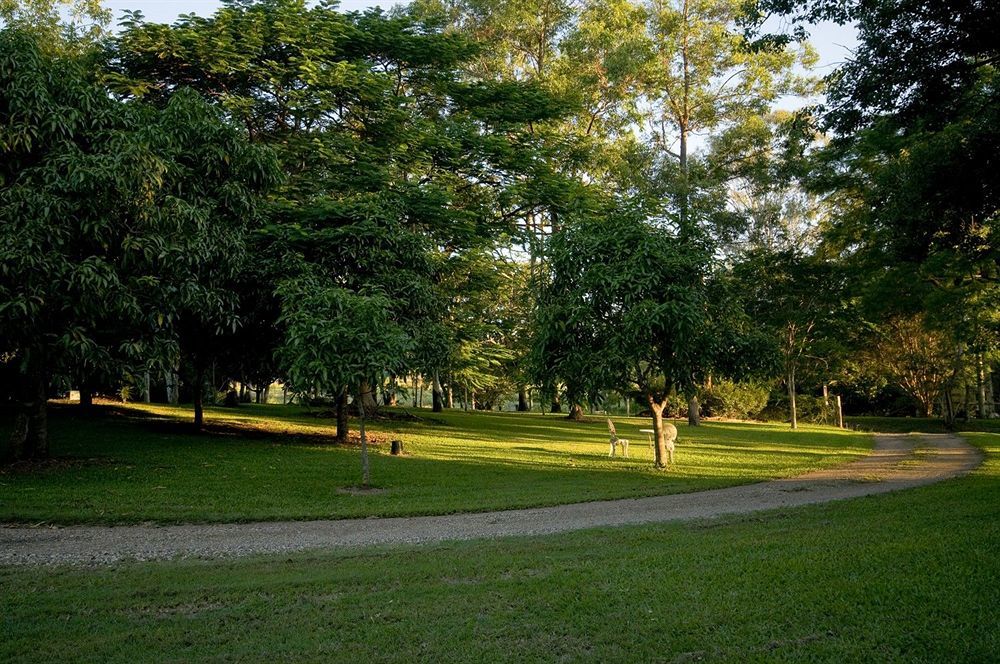 Lagoon Pocket Bed & Breakfast Esterno foto